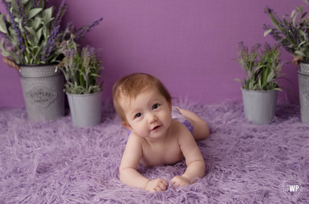 purple lavender 6 month old sitter milestone Kingston baby photographer