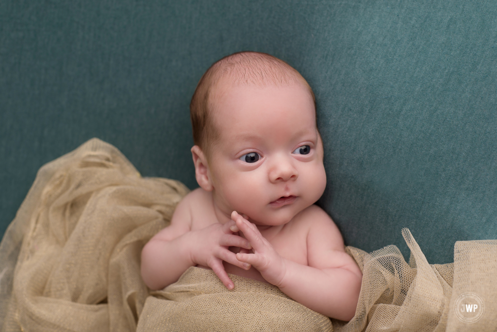 baby boy blue blanket gold wrap Belleville newborn photographer