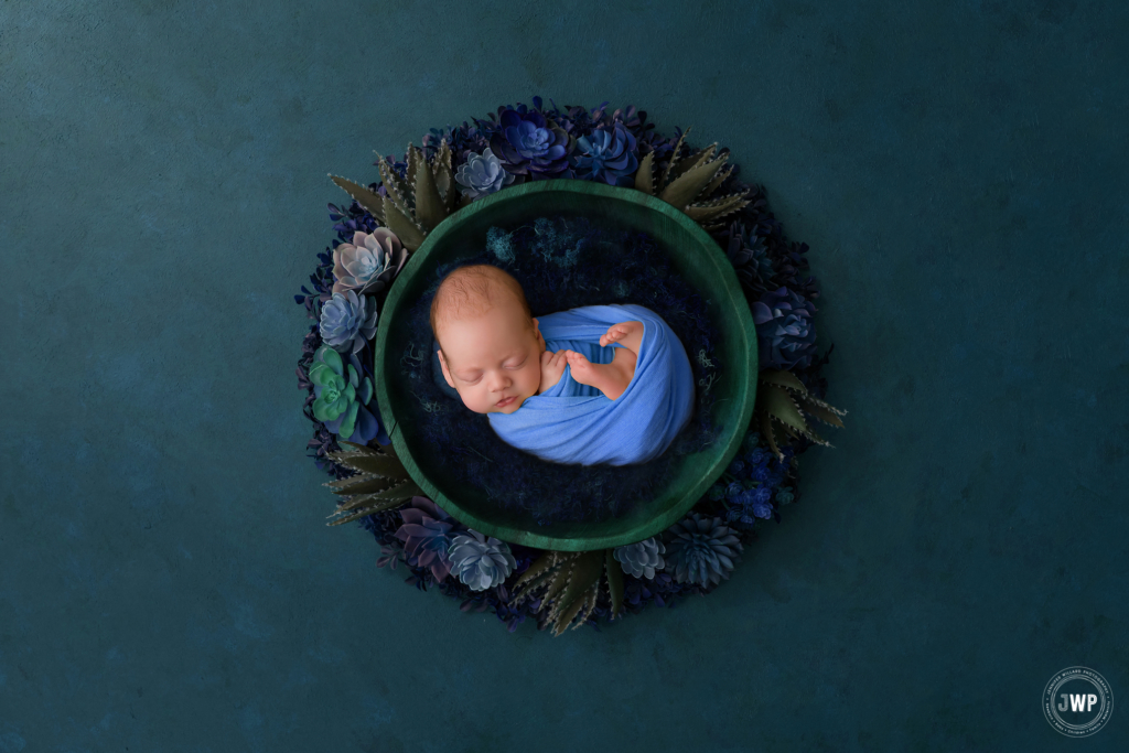 baby boy blue green bowl succulents Kingston newborn photographer