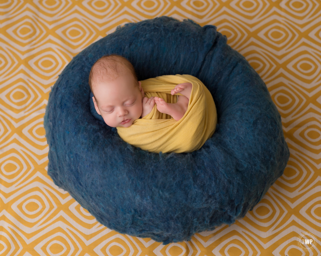 baby boy navy blue wool yellow wrap backdrop Kingston newborn photographer