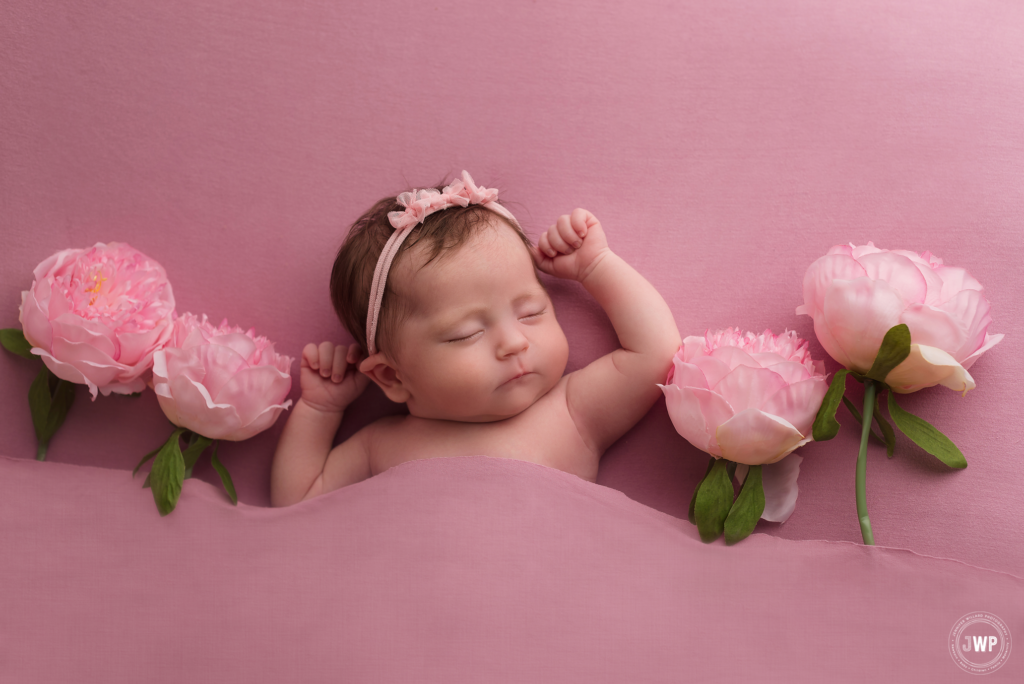 baby girl spring portrait pink flowers Kingston newborn photographer