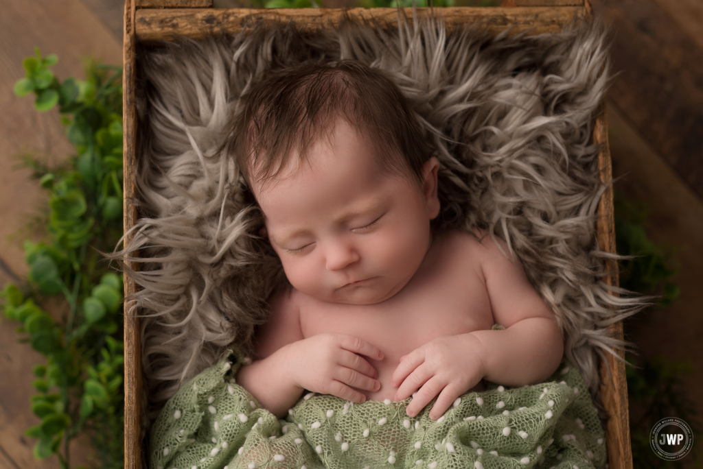 infant girl greenery brown crate fur Kingston newborn photographer