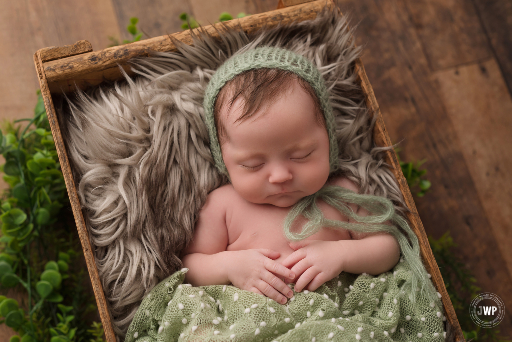 baby girl green wrap vines fur crate Kingston Ontario Photography