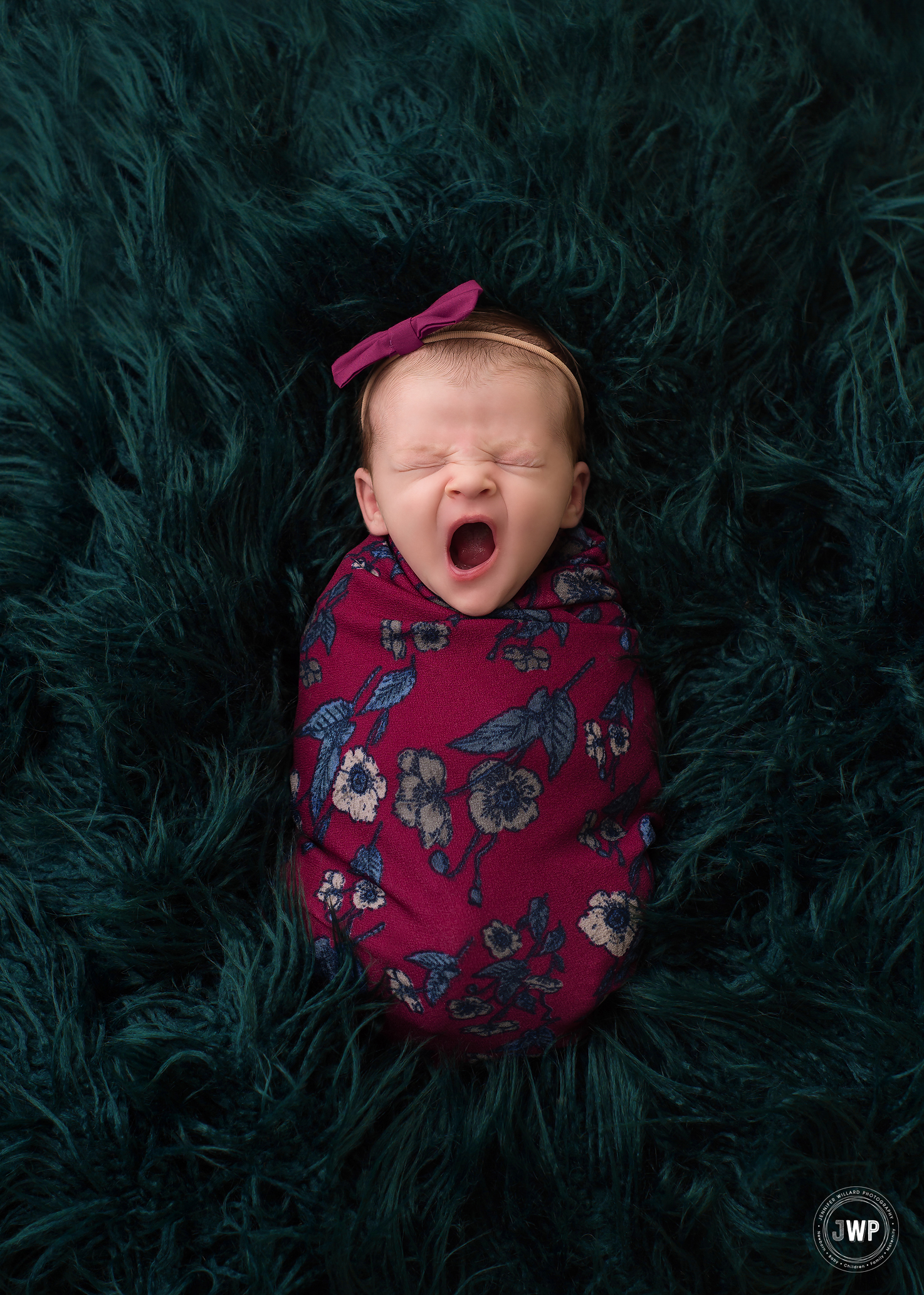 baby girl purple flower wrap Kingston newborn photographer