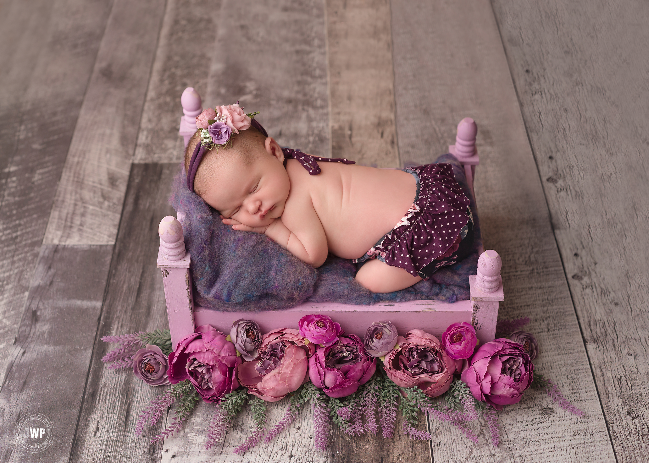 newborn girl purple flowers bed romper Kingston baby photographer