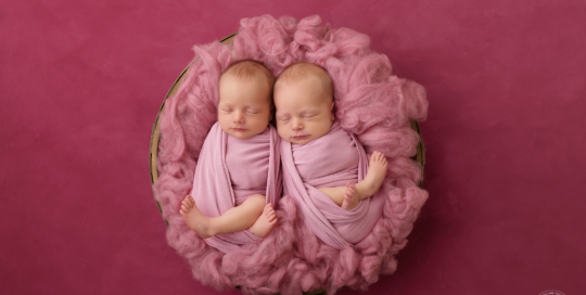 twin girls pink wool fluff basket texture backdrop Kingston newborn photographer