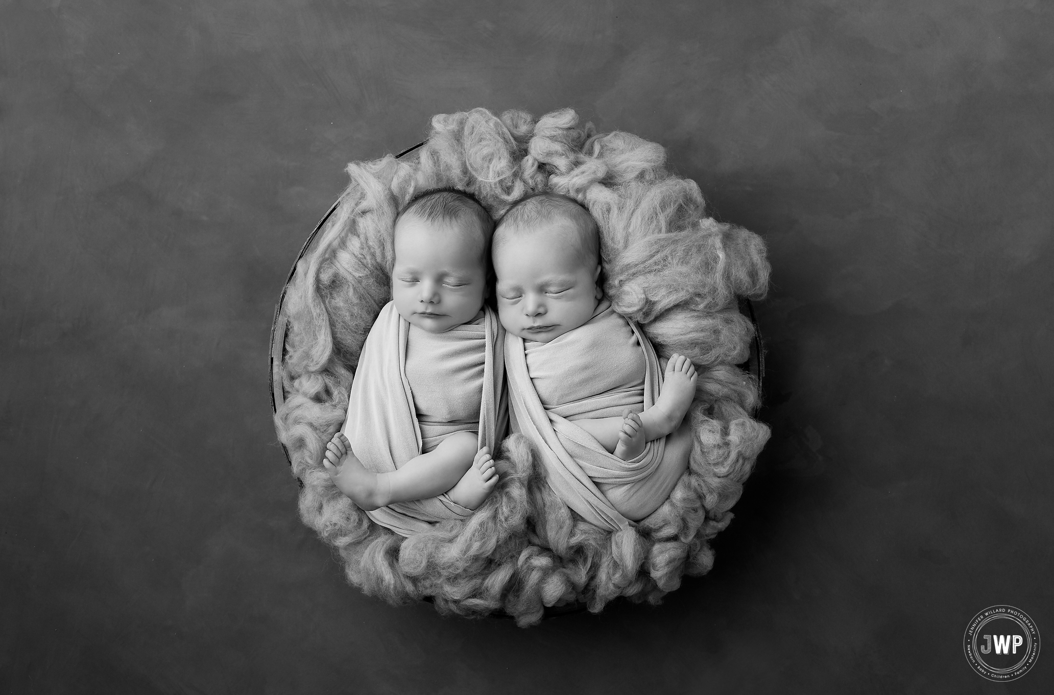 twin newborn pictures black and white Kingston Ontario Photographer