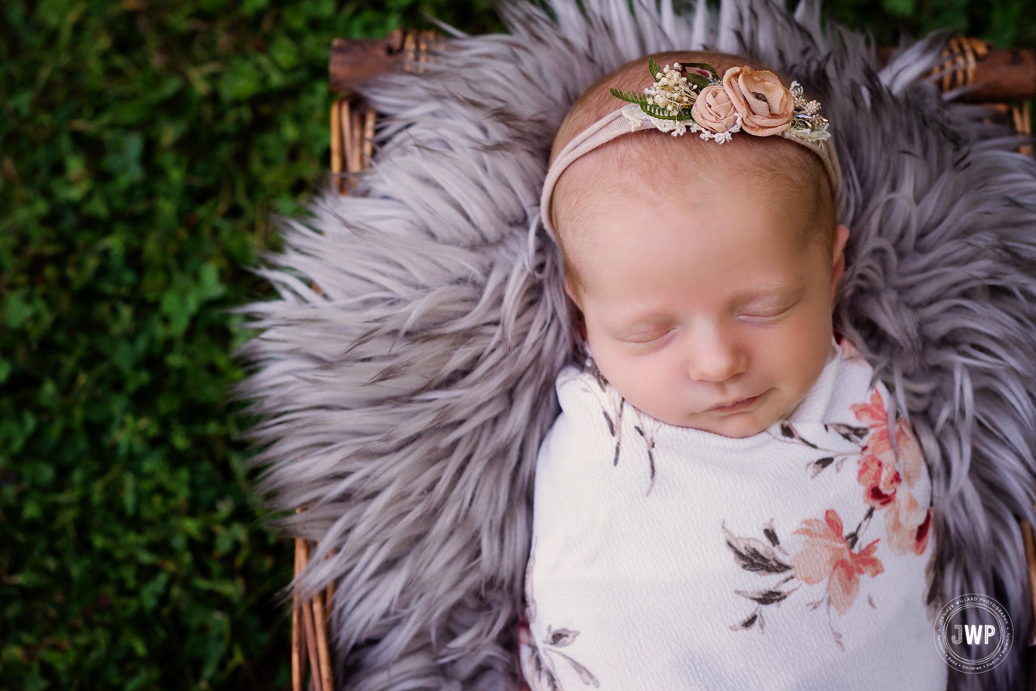 baby girl wrapped fur basket Kingston newborn photographer