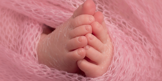 baby toes pink mohair blanket Kingston Ontario Newborn Photographer