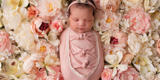 newborn girl flower bed Kingston baby photographer