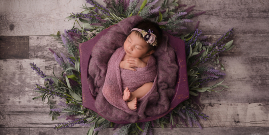 newborn girl purple wrap lavender Kingston baby photographer