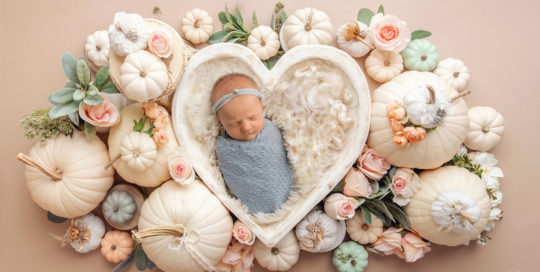 pumpkins newborn girl Kingston Newborn Photographer