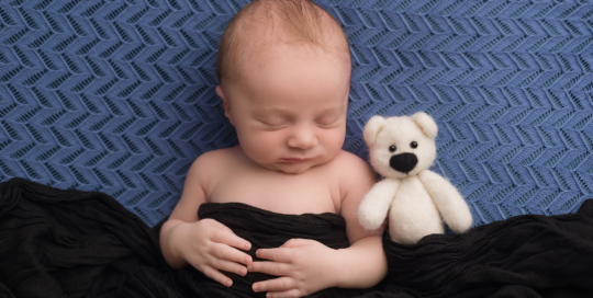 newborn photography blue backdrop black wrap teddy bear Kingston Ontario