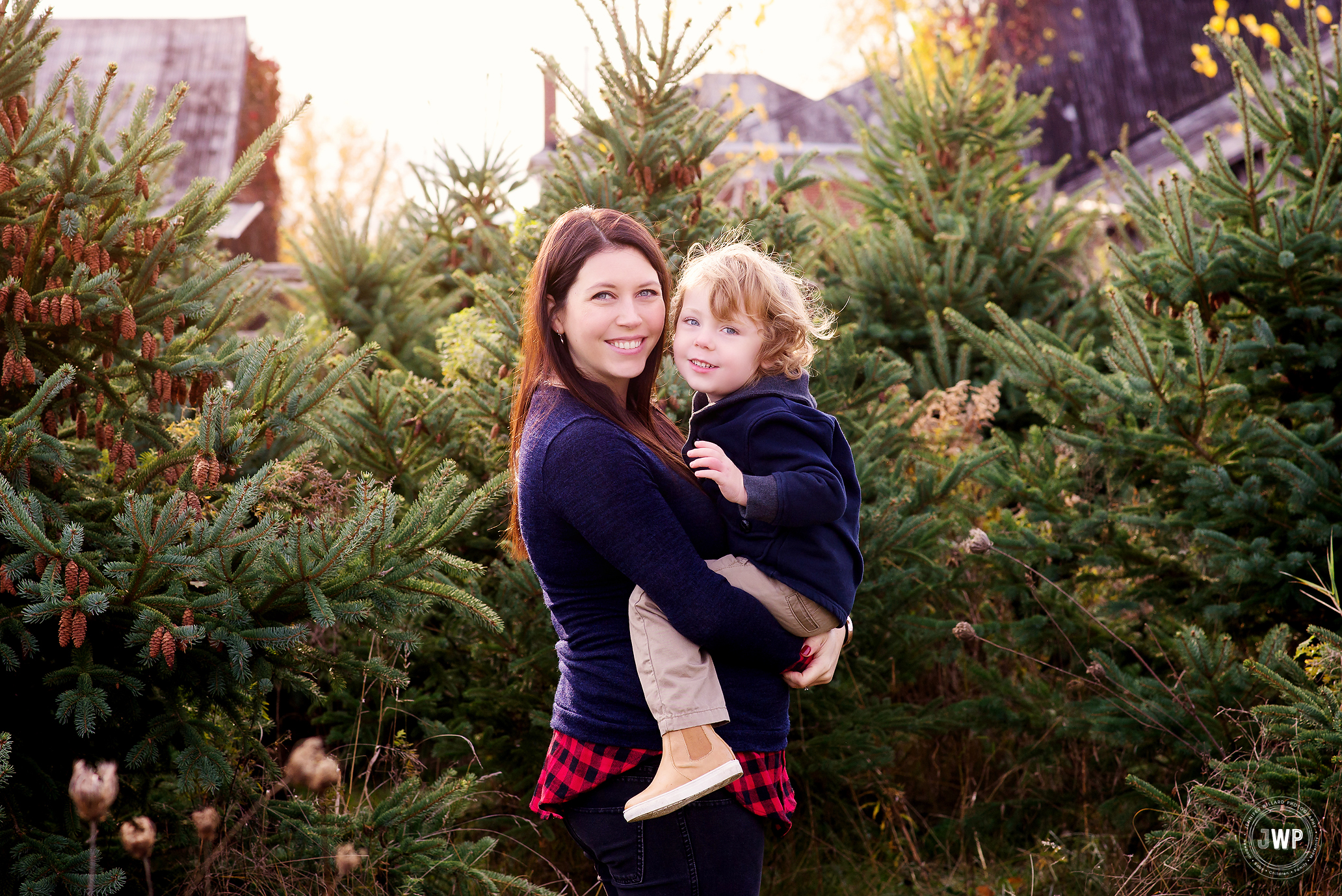 Caroles Christmas Tree Farm Kingston Family Portraits