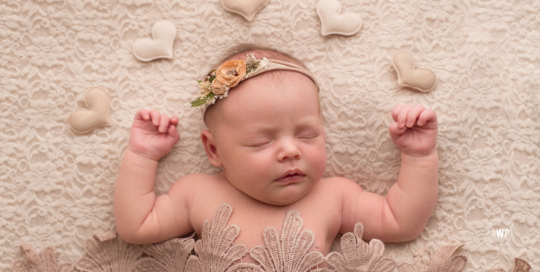 baby girl beige cream wrap hearts Kingston newborn portraits