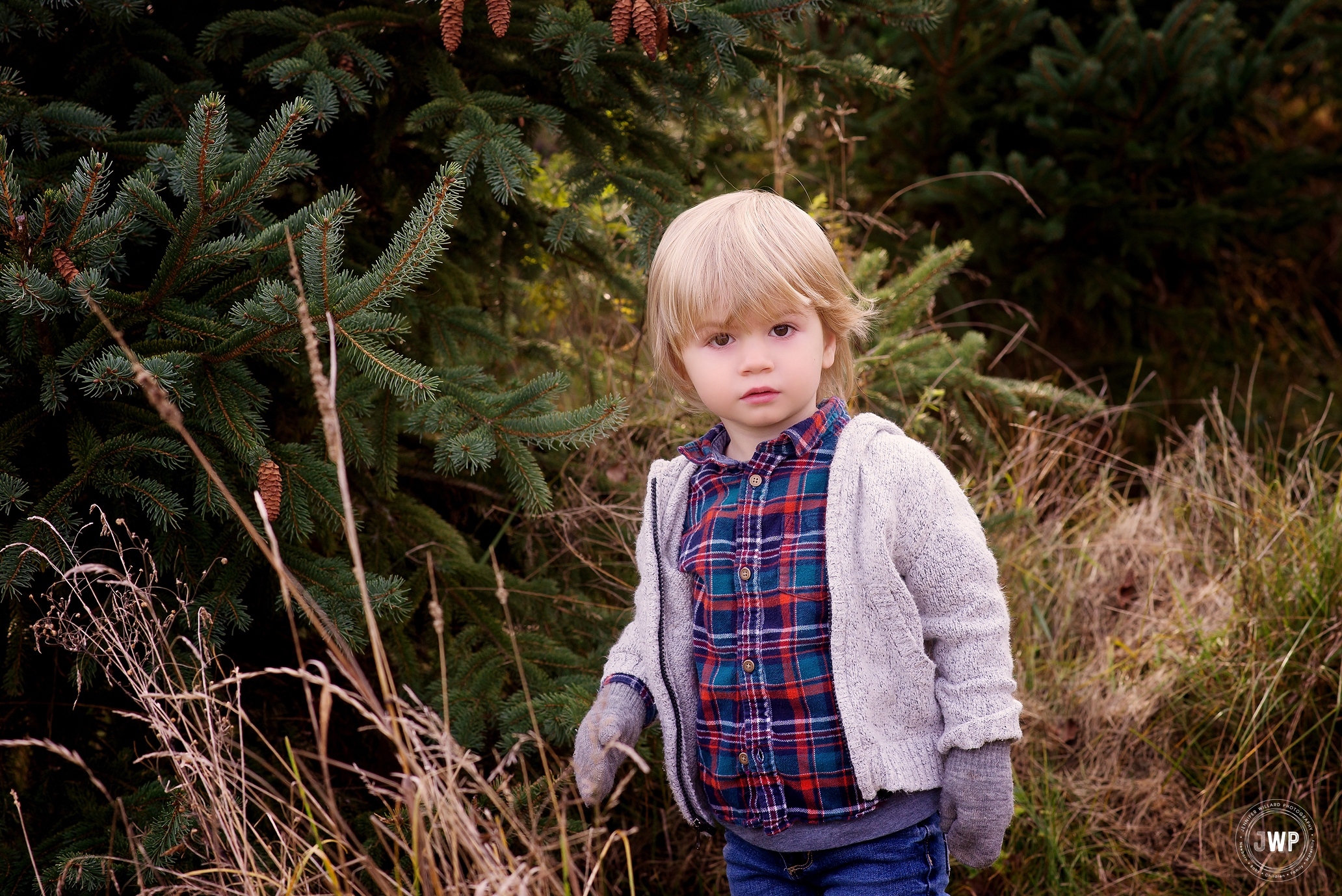 boy tree farm Kingston family photographer