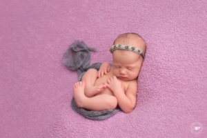 baby girl purple blanket grey headband wrap Kingston newborn photographer