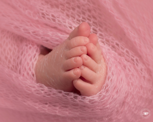 baby toes pink mohair blanket Kingston Ontario Newborn Photographer