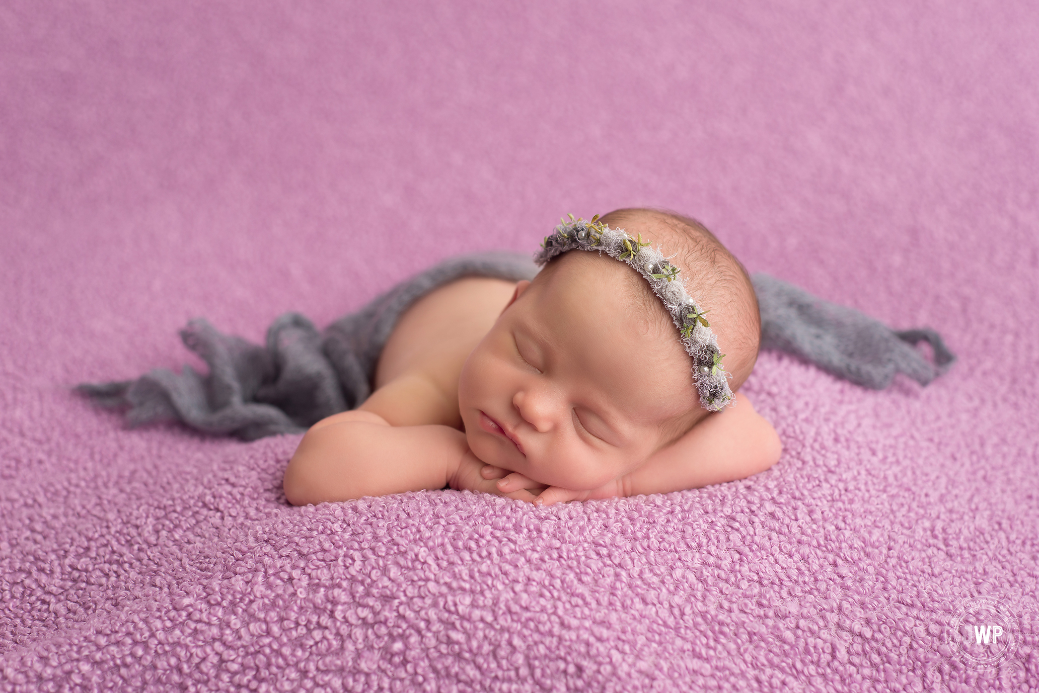 newborn girl purple blanket grey halo wrap Kingston baby photographer