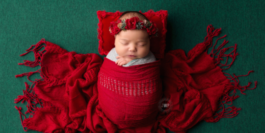 newborn girl red wrap green blanket Christmas Kingston baby photographer