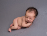 newborn boy grey blanket Belleville baby photographer