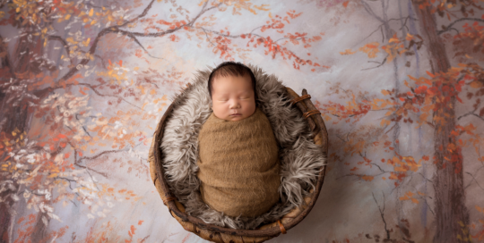 baby boy brown wrap forest backdrop kingston baby photographer